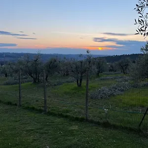  Frühstückspension Sei Cipressi